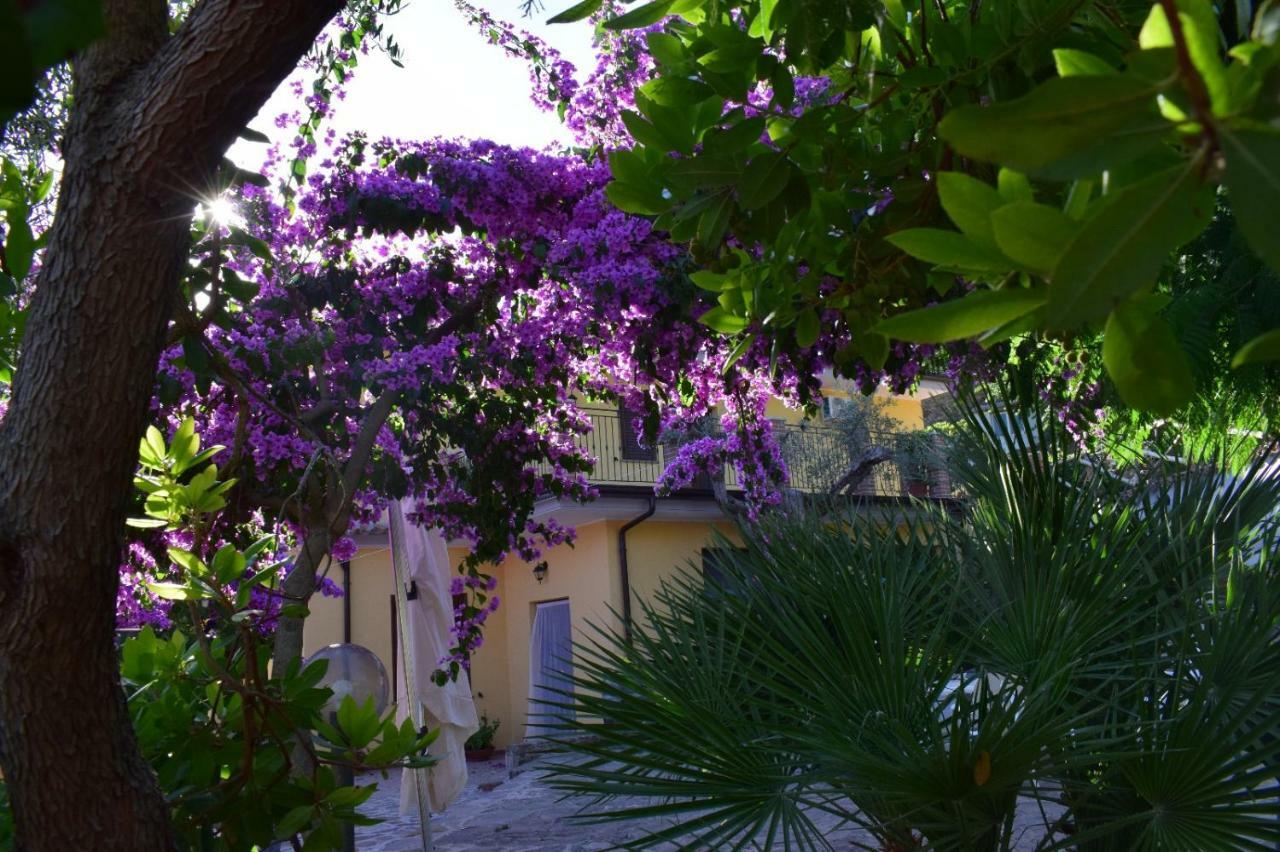 Agriturismo Il Marchese Aquara Exterior foto